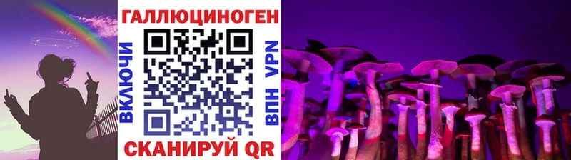 Псилоцибиновые грибы Psilocybe  купить   Краснозаводск 